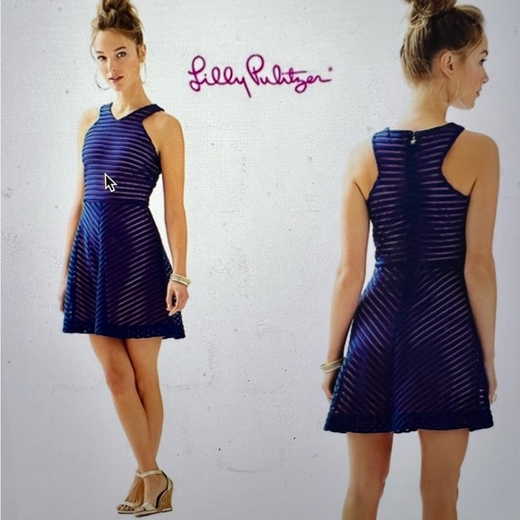 NWT Lilly Pulitzer Megyn Fit & Flare dress size L - Picture 1 of 7